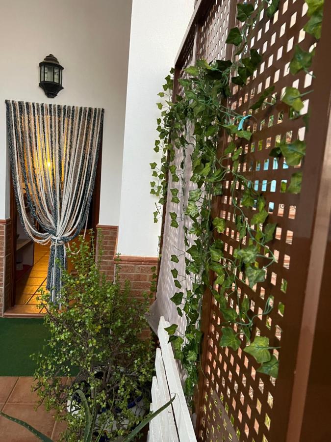 Salamandra Apartment