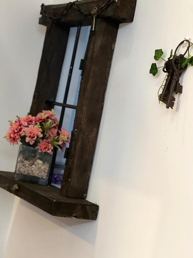 Salamandra Apartment