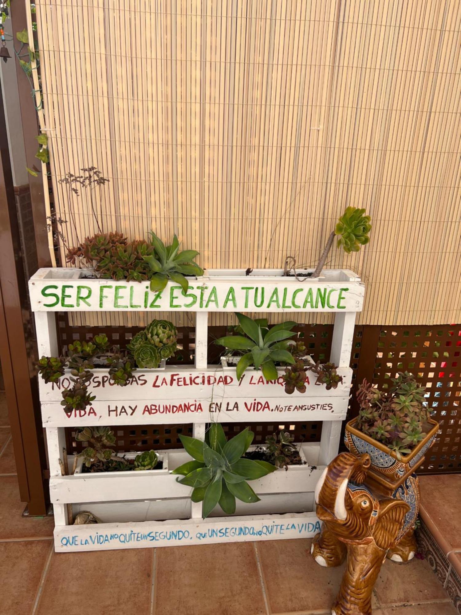 Salamandra Appartement *